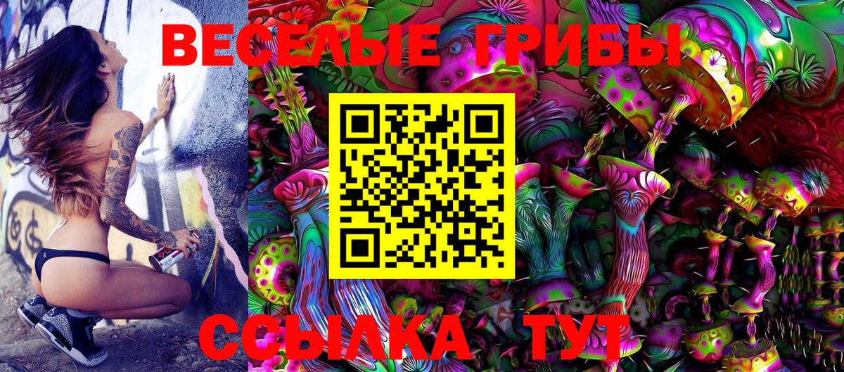 Галлюциногенные грибы Cubensis Пенза