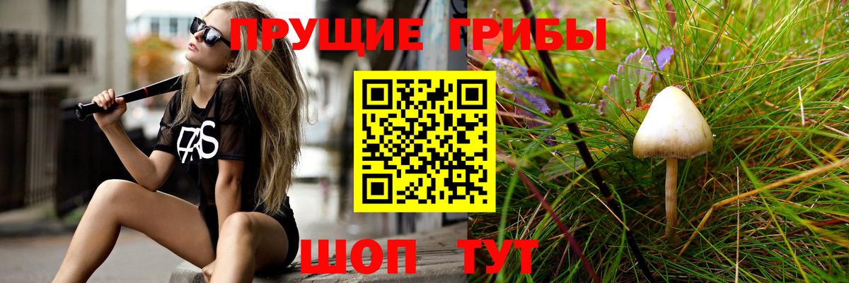 Псилоцибиновые грибы прущие грибы  Вход с VPN  сколько стоит  Пенза  Галлюциногенные грибы MAGIC MUSHROOMS 